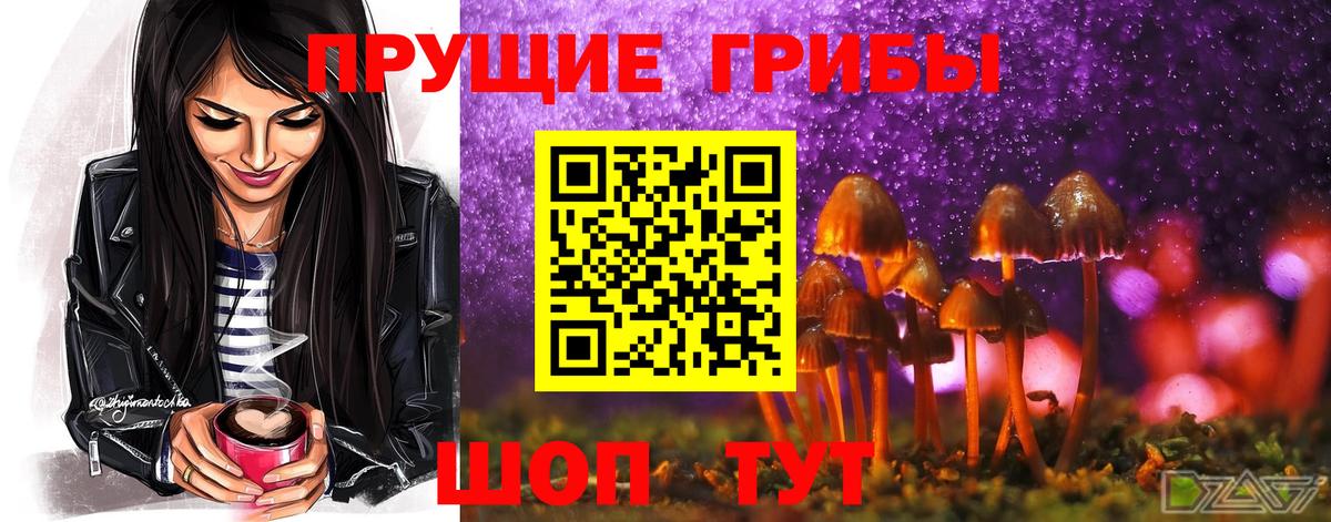 Галлюциногенные грибы GOLDEN TEACHER Надым