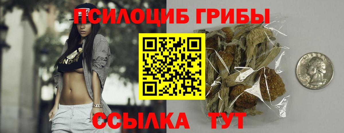 Надым  Галлюциногенные грибы прущие грибы  Вход с VPN 